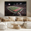 Houston Cougars Football Team Print - Houston TDECU Stadium
