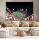 Houston Cougars Football Team Print - Houston TDECU Stadium