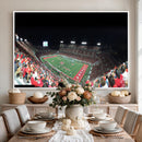 Houston Cougars Football Team Print - Houston TDECU Stadium