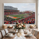 University of Illinois Fighting Illini Football Team Print -