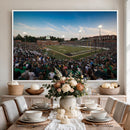 University of Charlotte 49ers Football Team Print -