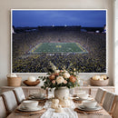 University of Michigan Wolverines Football Team Print - Ann