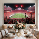 University of Nebraska Cornhuskers Football Team Print -