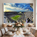Framed USF Bulls Football Team Print - Tampa Raymond James
