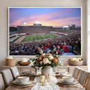 Indiana University Hoosiers Football Team Print -