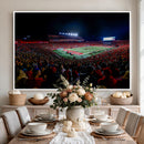 Rutgers Scarlet Knights Football Team Print - SHI Stadium,