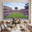 TCU Horned Frogs Football Team Print - Fort Worth Amon G.