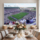 The Texas Christian University TCU Horned Frogs Football