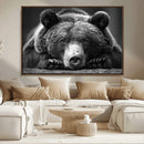 Resting Grizzly 399 Bear Canvas Print | Ready to Hang Wall
