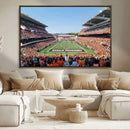 Oregon State Beavers Football Team Print - Corvallis Reser by MyGreatCanvas | Canvas Wall Art Prints | Photo Prints & Wall Decor