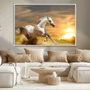 Large Wall Art Galloping White Horse at Sunset Canvas Print
