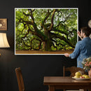 Angel Oak Tree Wall Art Canvas Print | Forest Tree Nature