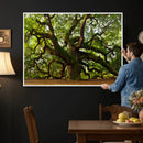 Angel Oak Tree Wall Art Canvas Print | Forest Tree Nature