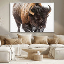 Bison Wall Art Canvas Print For Farmhouse, Wild Animal Wall by MyGreatCanvas | Canvas Wall Art Prints | Photo Prints & Wall Decor