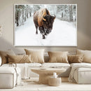 Bison Wall Art Canvas Print For Farmhouse, Animal Canvas