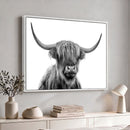 Scottish Highland Cow Cattle Art Print Wall Art Canvas Print