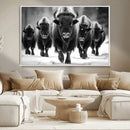 American Bison Art | Buffalo Herd Wall Art Canvas Print, BW