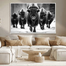 American Bison Art | Buffalo Herd Wall Art Canvas Print, BW