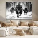 Buffalo Wall Art Canvas Print, Bison Family Wall Art Canvas by MyGreatCanvas | Canvas Wall Art Prints | Photo Prints & Wall Decor