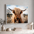 Scottish Cow Longhorn Wall Art Canvas Print