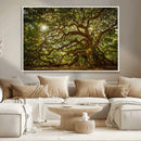 Ancient Angel Oak Tree Art Sunburst Canvas Print-