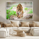 Leopard on the Prowl - Stunning Large Framed Leopard Wall