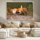 Sleeping Fox Wall Art Canvas Print, Farmhouse Wall Decor and