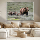 Wildlife Photography of 399 Grizzly Bear Cubs | Queen of the