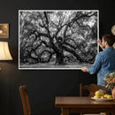 Black and White Old Angel Oak Tree Wall Art Canvas Print