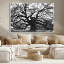 Ancient Oak Wall Art Canvas Print – Gnarled Tree Twisted by MyGreatCanvas | Canvas Wall Art Prints | Photo Prints & Wall Decor