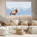 Elk Wall Art Canvas Print – Framed Mountain Wildlife Art by MyGreatCanvas | Canvas Wall Art Prints | Photo Prints & Wall Decor