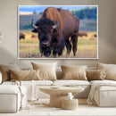 Bison Photography Wall Art Canvas Print – Framed Rustic by MyGreatCanvas | Canvas Wall Art Prints | Photo Prints & Wall Decor