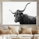 Longhorn Photography Wall Art Canvas Print – Framed Western by MyGreatCanvas | Canvas Wall Art Prints | Photo Prints & Wall Decor