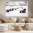 Bison Herd Wall Art Canvas Print – Framed Western Wildlife by MyGreatCanvas | Canvas Wall Art Prints | Photo Prints & Wall Decor
