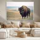 Bison Wall Art Canvas Print – Framed Buffalo Canvas Picture by MyGreatCanvas | Canvas Wall Art Prints | Photo Prints & Wall Decor