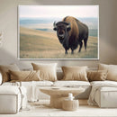 Bison Wall Art Canvas Print – Framed Buffalo American Bison