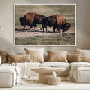 Bison Wall Art Canvas Print – Framed Western Wildlife Art by MyGreatCanvas | Canvas Wall Art Prints | Photo Prints & Wall Decor