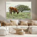 Texas Longhorn Wall Art Canvas Print – Framed Rustic Ranch by MyGreatCanvas | Canvas Wall Art Prints | Photo Prints & Wall Decor
