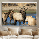 Wild Elk Wall Art Canvas Print – Framed Neutral Wildlife by MyGreatCanvas | Canvas Wall Art Prints | Photo Prints & Wall Decor