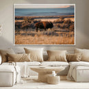 Western Framed Bison Wall Art Canvas Print by MyGreatCanvas | Canvas Wall Art Prints | Photo Prints & Wall Decor