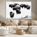 Buffalo Herd Wall Art Canvas Print – Framed Black and White by MyGreatCanvas | Canvas Wall Art Prints | Photo Prints & Wall Decor