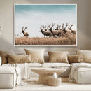 Elk Herd Wall Art Canvas Print – Framed Wildlife Photography