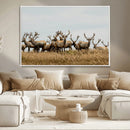 Elk Herd Wall Art Canvas Print – Framed Wildlife Photography