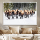 American Bison Herd Wall Art Canvas Print – Powerful Winter by MyGreatCanvas | Canvas Wall Art Prints | Photo Prints & Wall Decor
