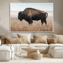 American Bison Wall Art Canvas Print – Majestic Buffalo
