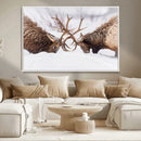 Dramatic Elk Antler Battle Wall Art Canvas Print – elk by MyGreatCanvas | Canvas Wall Art Prints | Photo Prints & Wall Decor