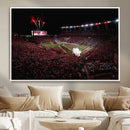 William Brice Stadium Wall Art Print – Baseball Game Room by MyGreatCanvas | Canvas Wall Art Prints | Photo Prints & Wall Decor
