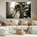 Misty Forest Tall Trees Foggy Atmosphere Nature Serenity by MyGreatCanvas | Canvas Wall Art Prints | Photo Prints & Wall Decor