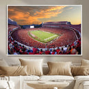 Dooley Stadium Wall Art, Sports Arena Canvas Print, Dooley by MyGreatCanvas | Canvas Wall Art Prints | Photo Prints & Wall Decor