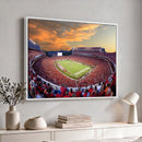 Dooley Stadium Wall Art, Sports Arena Canvas Print, Dooley